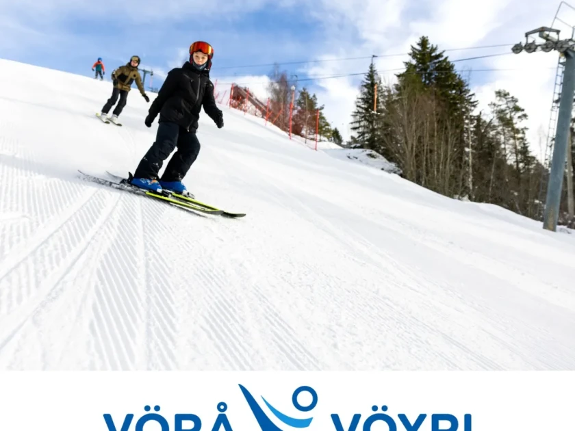 Slalom Laskettelu
