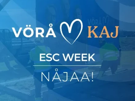 Skarmbild 2025 05 16 135428