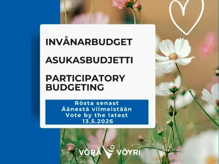 SOME Invanarbudget 2026 Rosta 1