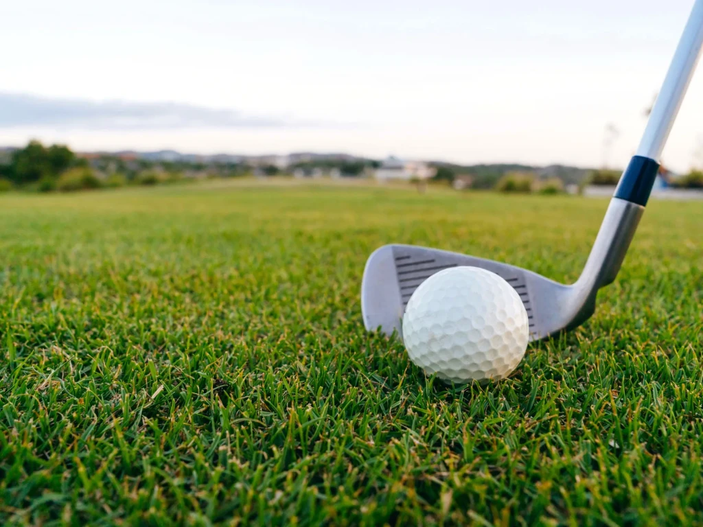 pexels mikhail nilov 9207754