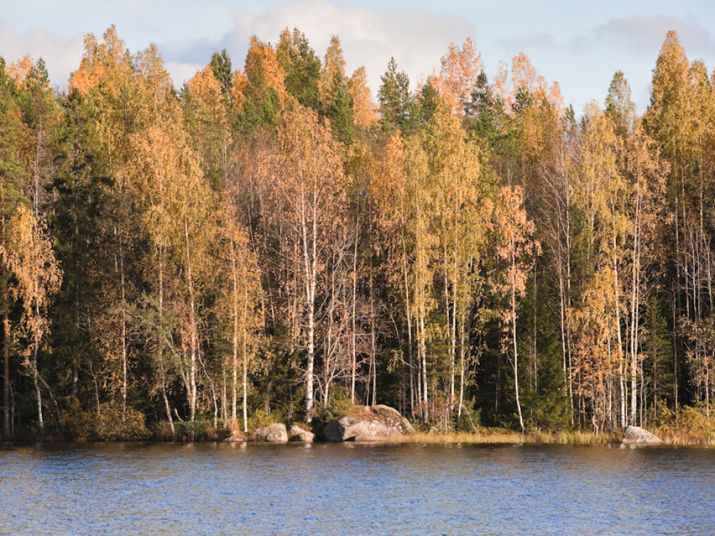 kalapaatrask22