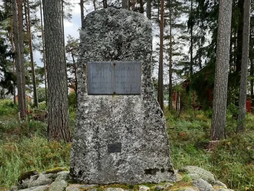 Lagpelt1